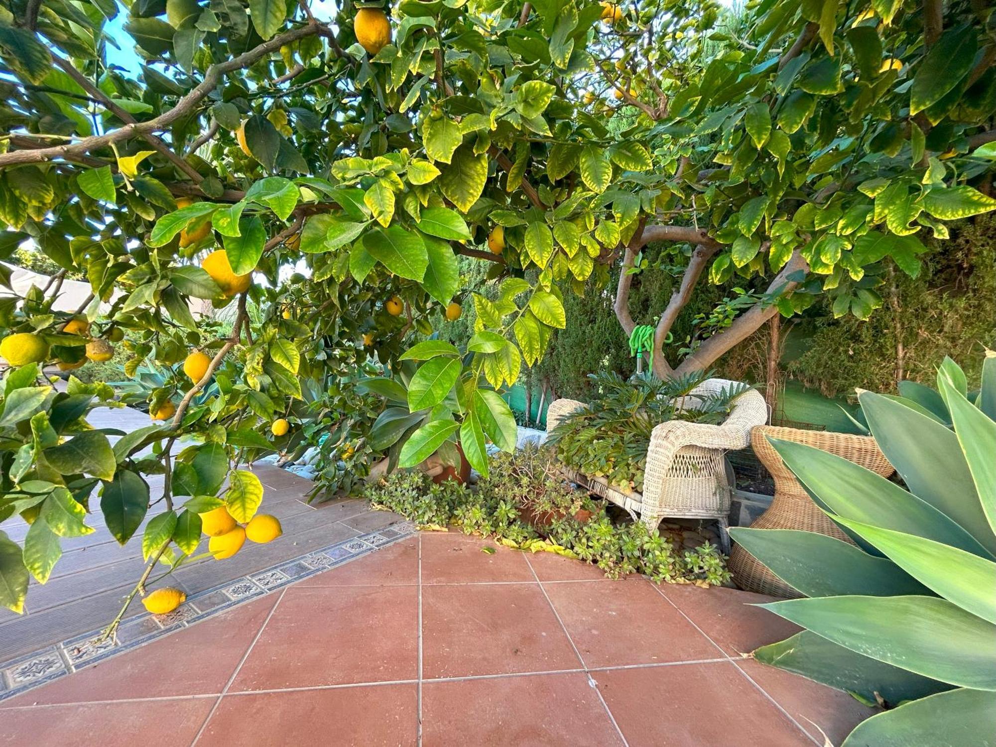 Casa Luna Llena Calpe Exterior photo